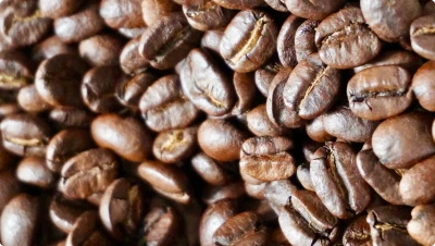Coffee Arabica Seed Oil